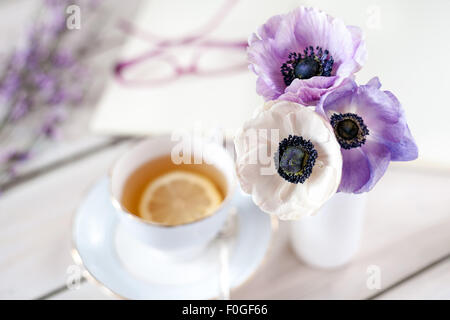 drei Anemonen in eine weiße Milchflasche mit unscharfen Tasse Tee mit Zitrone, Gläser, Notebook und Genista im Hintergrund Stockfoto