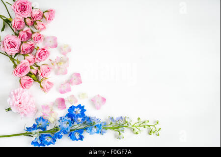 Hortensien blau Nelken Rosen kopieren Raum Grenze Stockfoto