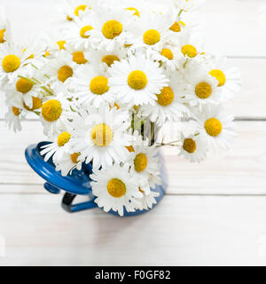 Ochse Auge Gänseblümchen in einem blauer Emaille-Jahrgang Kaffee-Topf Stockfoto