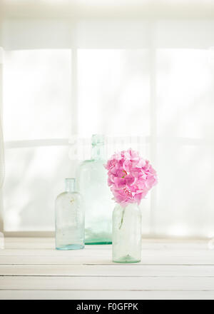 eine einzelne Rosa Hortensie Blüte und drei Vintage Glasflaschen auf einem Fensterbrett in Sonnenlicht getaucht Stockfoto