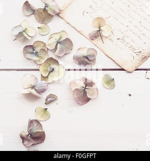 Nahaufnahme des verblichenen Hydrangea blüht mit Vintage Buchstaben im Hintergrund Stockfoto
