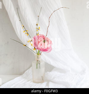 eine einfache Anordnung der rosa Clooney Ranunkeln und gelb Genista mit verdrehten Willow Zweig Stockfoto