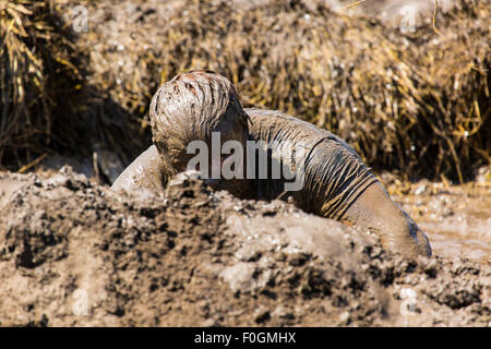 Toronto, Kanada. 15. August 2015. Tough-Mudder Hindernis-Parcours 15. August 2015 Toronto Ontario. Elektroschock-Therapie Credit: Leistung Bild/Alamy Live-Nachrichten Stockfoto