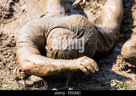 Toronto, Kanada. 15. August 2015. Tough-Mudder Hindernis-Parcours 15. August 2015 Toronto Ontario. Elektroschock-Therapie Credit: Leistung Bild/Alamy Live-Nachrichten Stockfoto