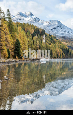 Herbstlandschaft, Silsersee, Upper Engadin, Schweiz Stockfoto