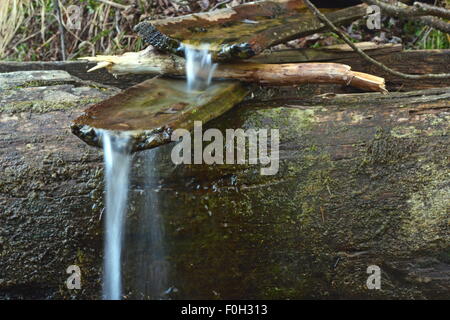 archaische Wasserquelle - hölzernen Kanal an der Quelle Stockfoto