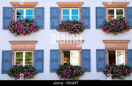 Fenster eines Hauses in Freiburg im Schwarzwald, Deutschland Stockfoto