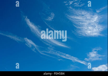 Blauen Himmel Whispy weiße Wolke Hochsommer rechtzeitig.  SCO, 10, 024 Stockfoto