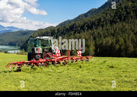 Zetten Heu mit Traktor Stockfoto