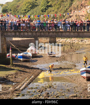 Staithes, UK. 15. August 2015. Massen an der Brücke über Roxby Beck Jubel auf die Enten während der jährlichen RNLI-Ente Rennen Staithes, Sonntag, 16. August 2015, die RNLI hält eine jährliche Wochenende von Veranstaltungen in der Fischerei Dorf Staithes an der Nordostküste Englands. Bildnachweis: Graham Hardy/Alamy Live-Nachrichten Stockfoto