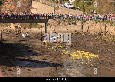 Staithes, UK. 15. August 2015. Massen an der Brücke über Roxby Beck Jubel auf die Enten während der jährlichen RNLI-Ente Rennen Staithes, Sonntag, 16. August 2015, die RNLI hält eine jährliche Wochenende von Veranstaltungen in der Fischerei Dorf Staithes an der Nordostküste Englands. Bildnachweis: Graham Hardy/Alamy Live-Nachrichten Stockfoto