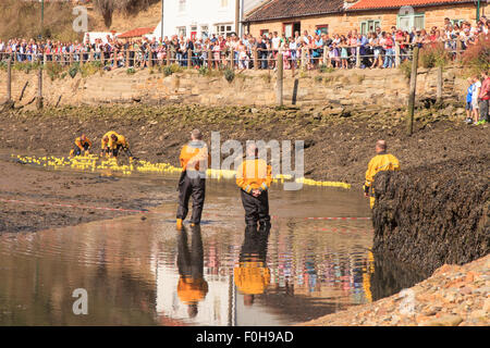 Staithes, UK. 15. August 2015. Die Ziellinie der jährlichen RNLI (Royal National Lifeboat Institute) Ente Rennen in der Fischerei Dorf Staithes auf der Nord-Ost Küste von England.Sunday 16. August 2015, UK Credit: Graham Hardy/Alamy Live News Stockfoto