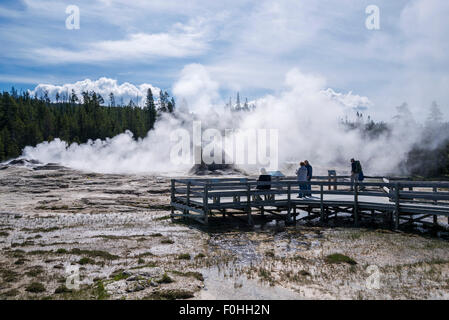 Touristen bewundert berühmten Grotto Geysir aus Holz View Point, Yellowstone National Park, Wyoming, USA Stockfoto