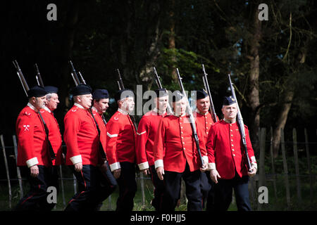 Königinnen-regiment englischen Soldaten setzen auf einem Display in Cannock Chase Visitor Centre UK Stockfoto