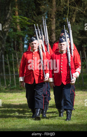 Königinnen-regiment englischen Soldaten setzen auf einem Display in Cannock Chase Visitor Centre UK Stockfoto