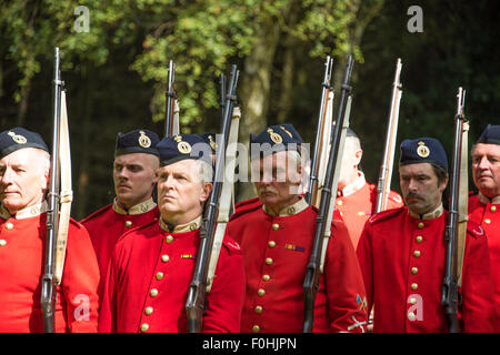 Königinnen-regiment englischen Soldaten setzen auf einem Display in Cannock Chase Visitor Centre UK Stockfoto