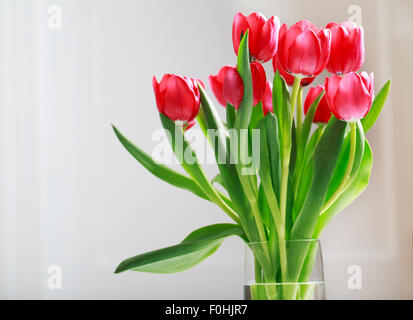 Schöne rote Tulpen in Vase über weiße Wand Stockfoto