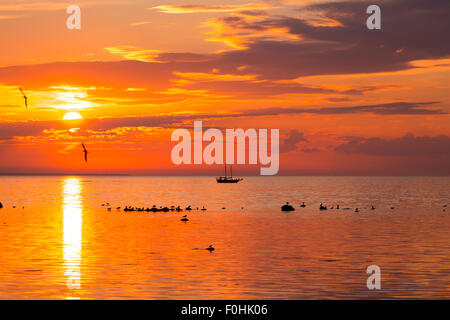 Großsegler Segeln entlang der Skyline bei Sonnenuntergang Stockfoto