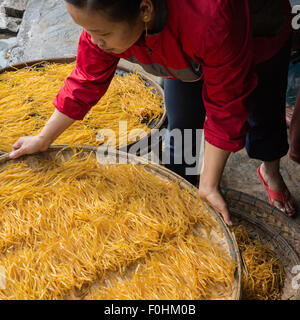 Frau in roter Bluse mit runden Tablett vom Trocknen Nudeln an zentralen Lebensmittelmarkt in Hoi an, Vietnam Stockfoto