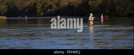 Flyfishermen Angeln für europäische Äsche (Thymallus Thymallus) und Bachforelle (Salmo Trutta Fario) im Fluss San, Myczkowce, Polen, September 2011 Modell veröffentlicht Stockfoto