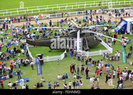 Ascot, Berkshire, UK. 16. August 2015.   Jetzt in seinem zehnten Jahr sind die internationale Serie von Rennen weltweit als die schnellsten und aufregendsten Motorsportserien der Welt bekannt geworden.  Die Rennen werden die Piloten navigieren luftgefüllten Pylonen auf eine Antenne Rennstrecke mit der schnellsten Zeit und geringste Zahl der Sanktionen wird der Gewinner sehen. Bildnachweis: Oliver Dixon/Alamy Live-Nachrichten Stockfoto