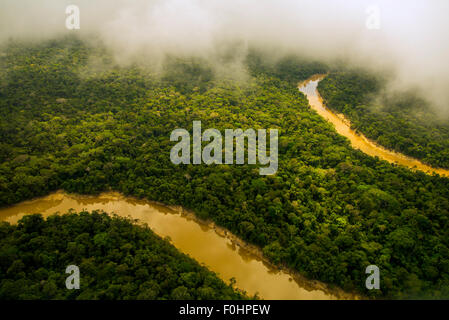 Amazonas-Regenwald Antenne. Primärwald, Yavari Miri River, zwischen Iquitos, Peru und brasilianischen Grenze Stockfoto