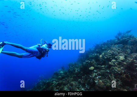 Taucher schwimmt im blauen Ozean über Korallenriff mit kleiner Fischschwarm Stockfoto