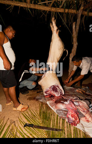 Provinz Coclé, Republik Panama, 16.. August 2015. Das Schwein der Familie Martinez, Pancho, wird an seinem Schlachttag geteilt. Aus dem Landesinneren der Provinz Coclé, Republik Panama, Mittelamerika. Quelle: Oyvind Martinsen/Alamy Live News Stockfoto