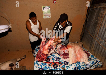 Provinz Coclé, Republik Panama, 16.. August. 2015. Das Schwein der Familie Martinez, Pancho, wird an seinem Schlachttag geteilt. Aus dem Landesinneren der Provinz Coclé, Republik Panama, Mittelamerika. Quelle: Oyvind Martinsen/Alamy Live News Stockfoto