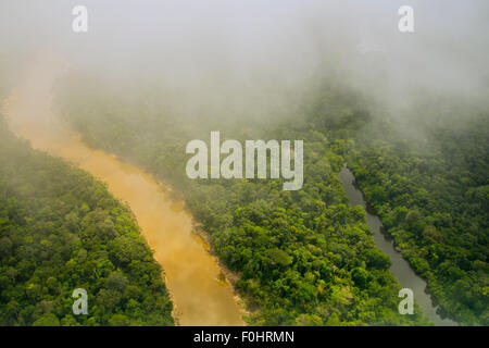 Regenwald Antenne. Primärwald, Yavari Miri Fluss und Oxbow See, zwischen Iquitos, Peru und brasilianischen Grenze Stockfoto