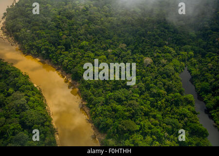Amazonas-Regenwald Antenne. Primärwald, Yavari Miri Fluss und Oxbow See, zwischen Iquitos, Peru und brasilianischen Grenze Stockfoto