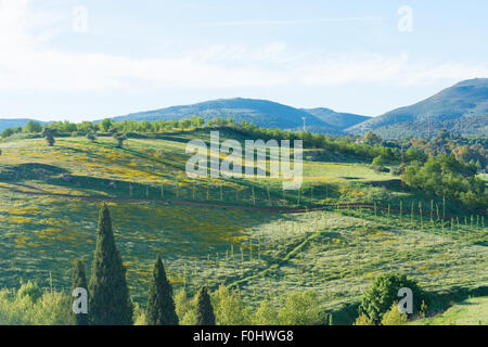 Der Blick von El Tajo aus Alameda Del Tajo und Calle Virgen De La Paz in Ronda in Andalusien, Spanien Stockfoto