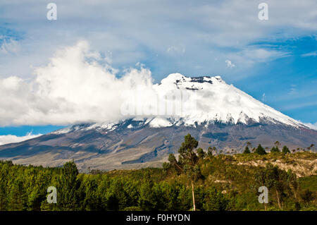 Cotopaxi Vulkan über das Plateau, Anden-Hochland von Ecuador, Südamerika Stockfoto