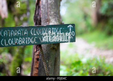 Wolke Brücke Wasserfall Zeichen auf einen Metallpfosten im Wald in der Nähe von Parque National La Amistad in Costa Rica Stockfoto