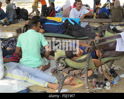 Belgrad, Serbien. 15. August 2015. Flüchtlinge-Camp und warten an der Bushaltestelle in Belgrad, Serbien, 15. August 2015. Hunderte von Flüchtlingen aus Syrien, Afghanistan, Pakistan und anderswo sind in den Parks der serbischen Hauptstadt lagerten. Sie erwarten abends Busse nach Subotica oder Kanjiza an der serbisch-ungarischen Grenze zu fangen. Foto: THOMAS BREY, DPA/Alamy Live-Nachrichten Stockfoto