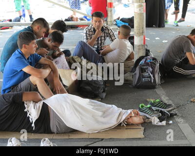 Belgrad, Serbien. 15. August 2015. Flüchtlinge auf einem Parkplatz in Belgrad, Serbien, 15. August 2015. Hunderte von Flüchtlingen aus Syrien, Afghanistan, Pakistan und anderswo sind in den Parks der serbischen Hauptstadt lagerten. Sie erwarten abends Busse nach Subotica oder Kanjiza an der serbisch-ungarischen Grenze zu fangen. Foto: THOMAS BREY, DPA/Alamy Live-Nachrichten Stockfoto