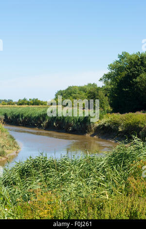 Fluss Stour in Sandwich, Kent Stockfoto