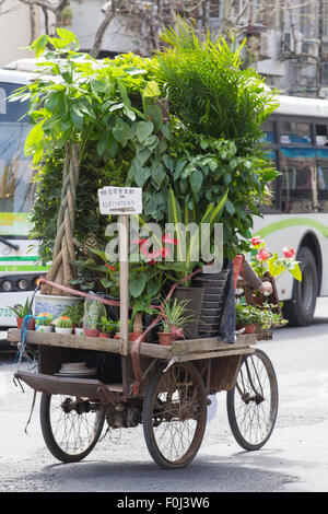 Ein Mann Radfahren und Durchführung eine Menge von Blumen und Pflanzen auf seinem Fahrrad in der Straße von Shanghai, China 3. April 2013. Stockfoto