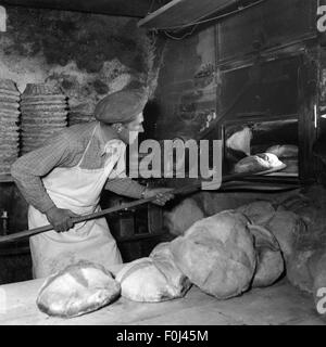 Menschen, Berufe, Bäcker, Putting ein Brot Laib in den Ofen, St. Bernard, Ende der 1950er Jahre, zusätzliche-Rechte-Clearences-nicht verfügbar Stockfoto