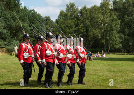 1715 Queens regiment englischen Soldaten aus der jakobitischen Zeit setzen auf einem Display in Cannock Chase Visitor Centre UK Stockfoto