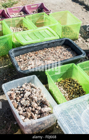 Archäologische Ausgrabungen, Steinen Mosaik Stockfoto