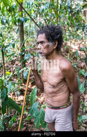 Alter Mann des Stammes Orang Asil mit einem Blasrohr im Dschungel, Aborigines, indigenen Menschen, tropischer Regenwald Stockfoto