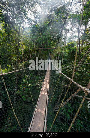 Hängebrücke im Dschungel, Kuala Tahan, Taman Negara Nationalpark, Malaysia Stockfoto