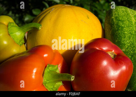 Hintergrund aus hellen natürlichen Frucht Stockfoto