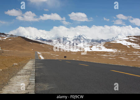 Gerade Straße mit einer gelben gepunkteten Linie in der Mitte mit tibetischen Landschaft der Berge im Hintergrund. Friendship Highway Stockfoto