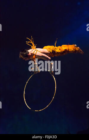 Zirkus der Shanghai - nicht identifizierte Acrobat in Aktion in einem Zirkus, China 2013. Stockfoto