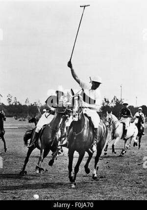 Sport,Olympische Spiele,Berlin 1936,Polo,Vorspiel Ungarn gegen Deutschland 8:8 nach mehr Zeit,Deutscher Spieler angreifend,Berlin,4.8.1936,Deutschland,Spiel,Spiele,Spieler,Spieler,spielen,spielen,Reiter,Reiter,Reiter,Pferd,Pferde,Reiten,Reiten,Reitsport,Reitsport,Reitsport,Schläger,Schläger,Schläger,Schläger,Schläger,Schläger,Olympia,Olympische Spiele,Turniere,Turniere,Turniere,Turniere,Turniere,Turniere,Turniere,Turniere,im 20. Jahrhundert,Turniere,Turniere,Turniere,Turniere,Turniere,Turniere,Vorrauserlass,Turniere,Turniere,Turniere,Turniere,Turniere,Turniere,Turniere,Turniere,Turniere,Turniere,Turniere,Turniere,Turniere,Turniere,Turniere,Turniere,Turniere,Turniere,Turniere, Stockfoto