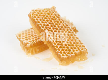 Zwei Scheiben von rohem Honeycomb auf weißem Hintergrund platziert Stockfoto