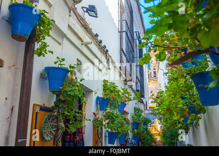 Typische Fenster mit Gitter und dekorative Blumen in der Stadt Córdoba, Spanien Stockfoto