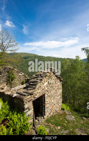 Verlassenen alten Steinen Haus mit blauen Himmel und Wald im Hintergrund im Norden von Italien, Scareno, Nähe von Verbania. Stockfoto